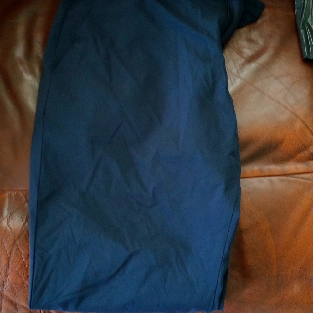 Dress pants